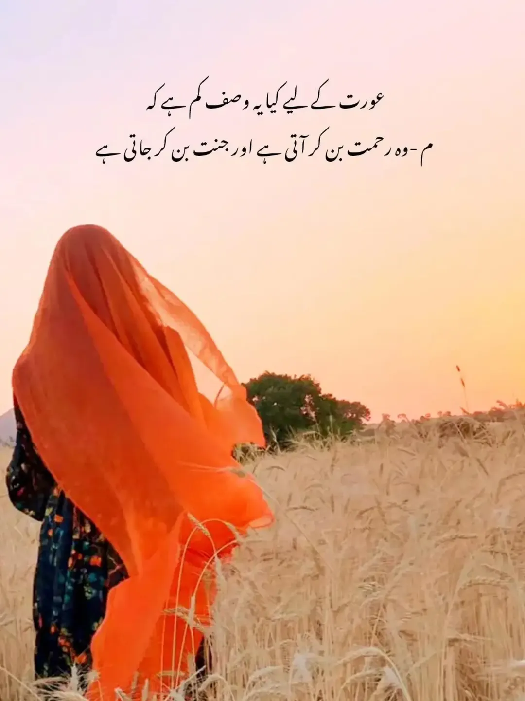 islamic tube images