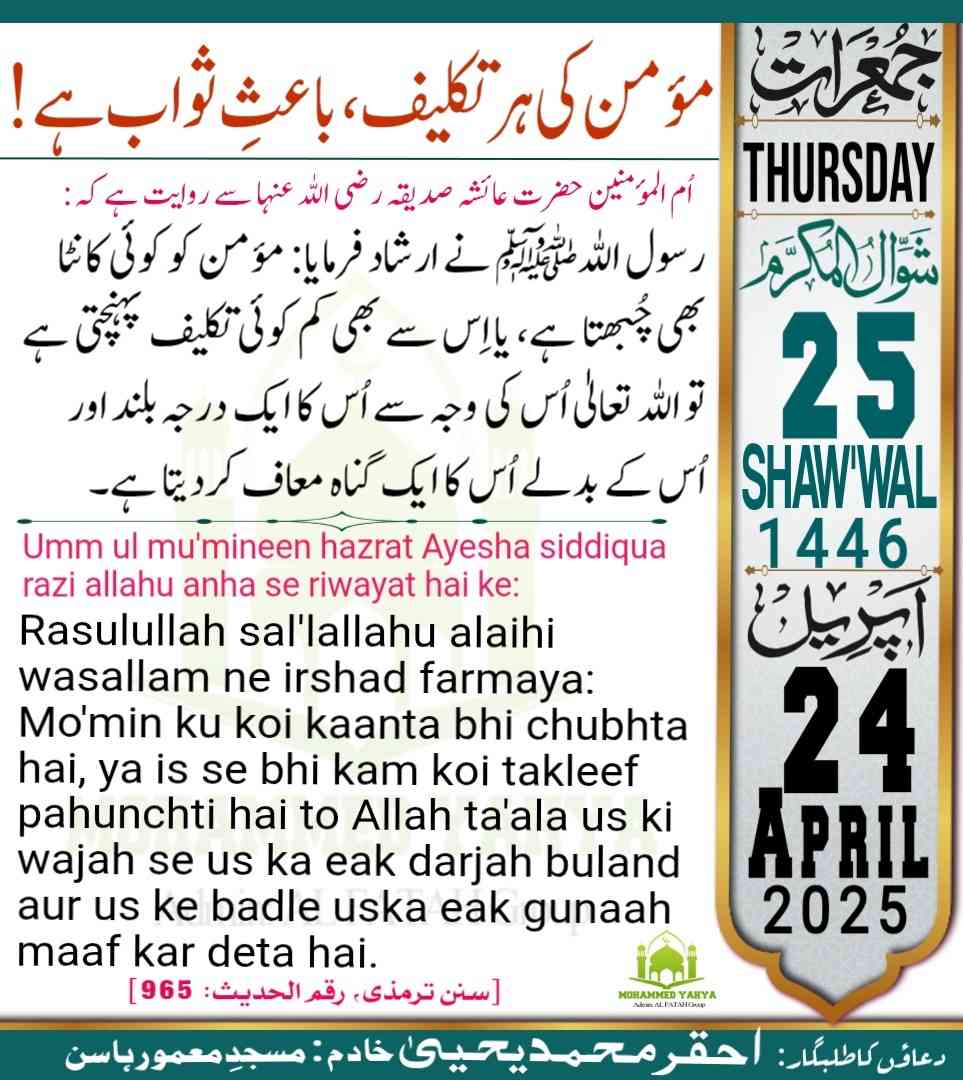 Islamic Tube Pro App