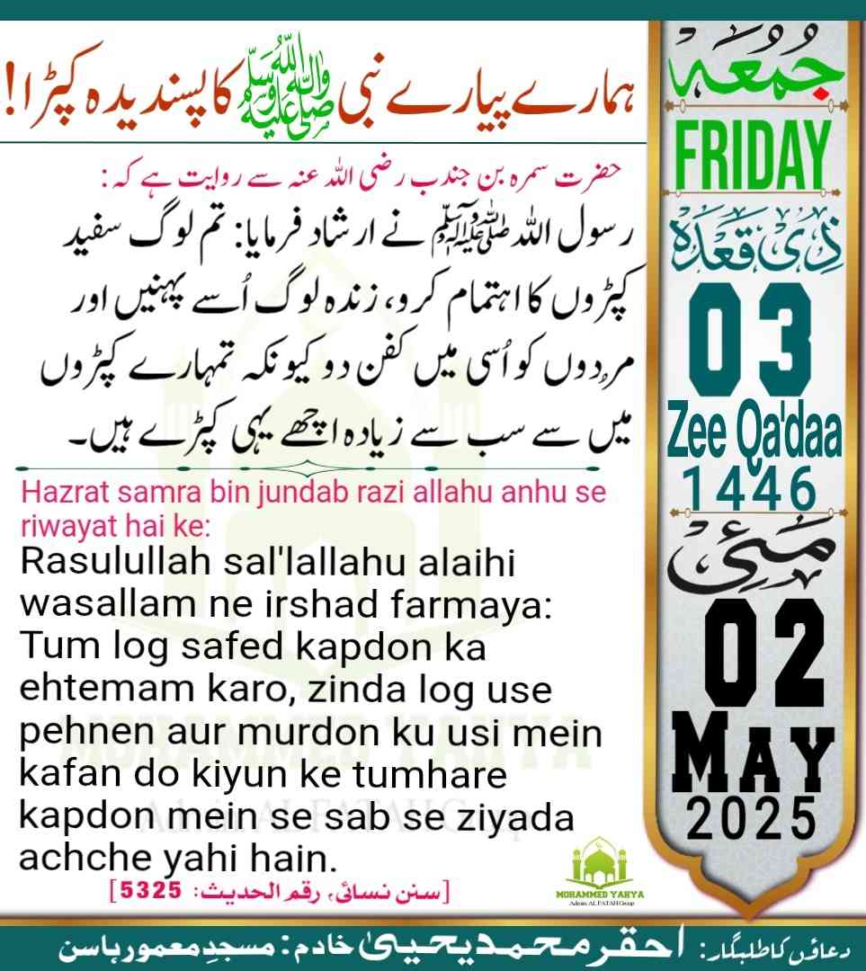 Islamic Tube Pro App