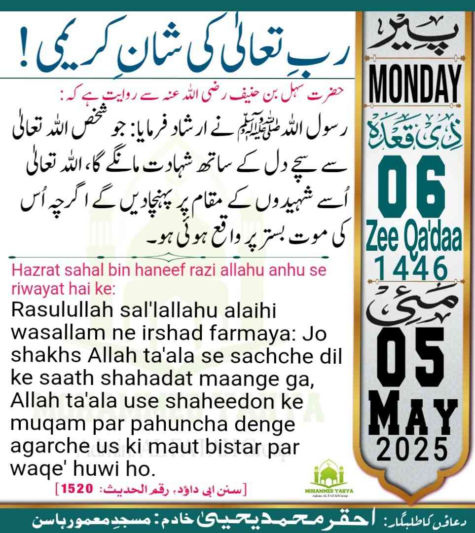 Islamic Tube Pro App