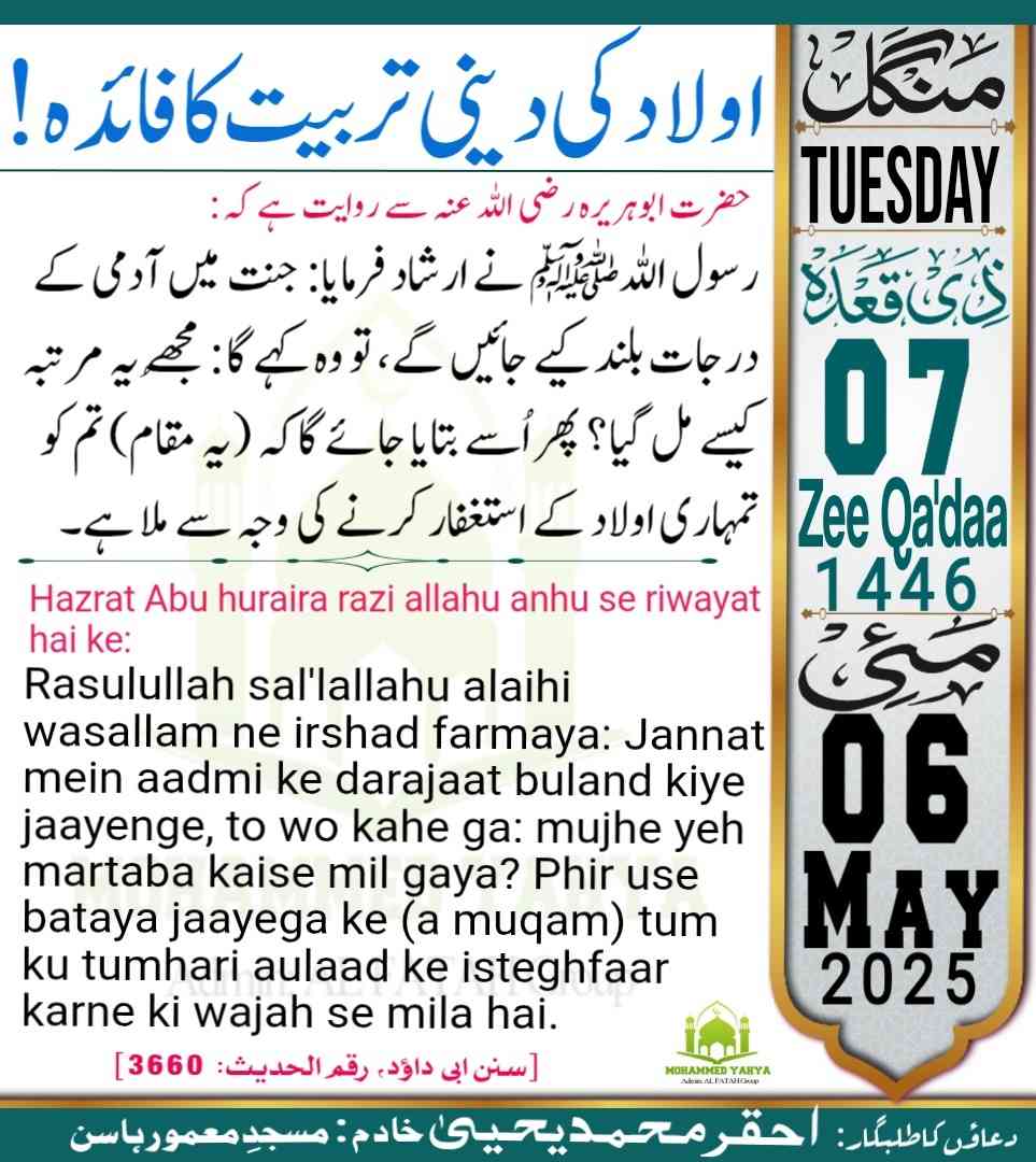 Islamic Tube Pro App