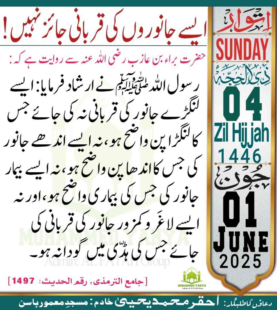 Islamic Tube Pro App