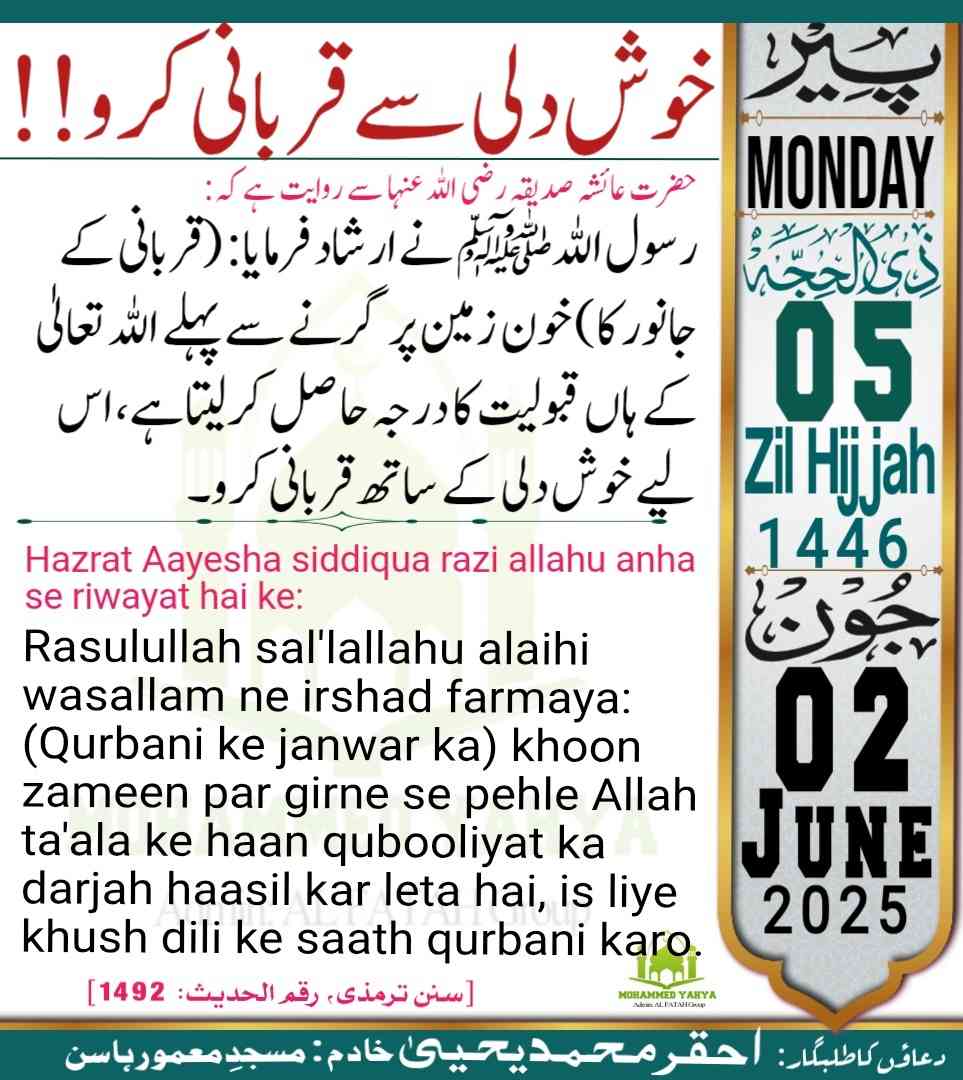 Islamic Tube Pro App