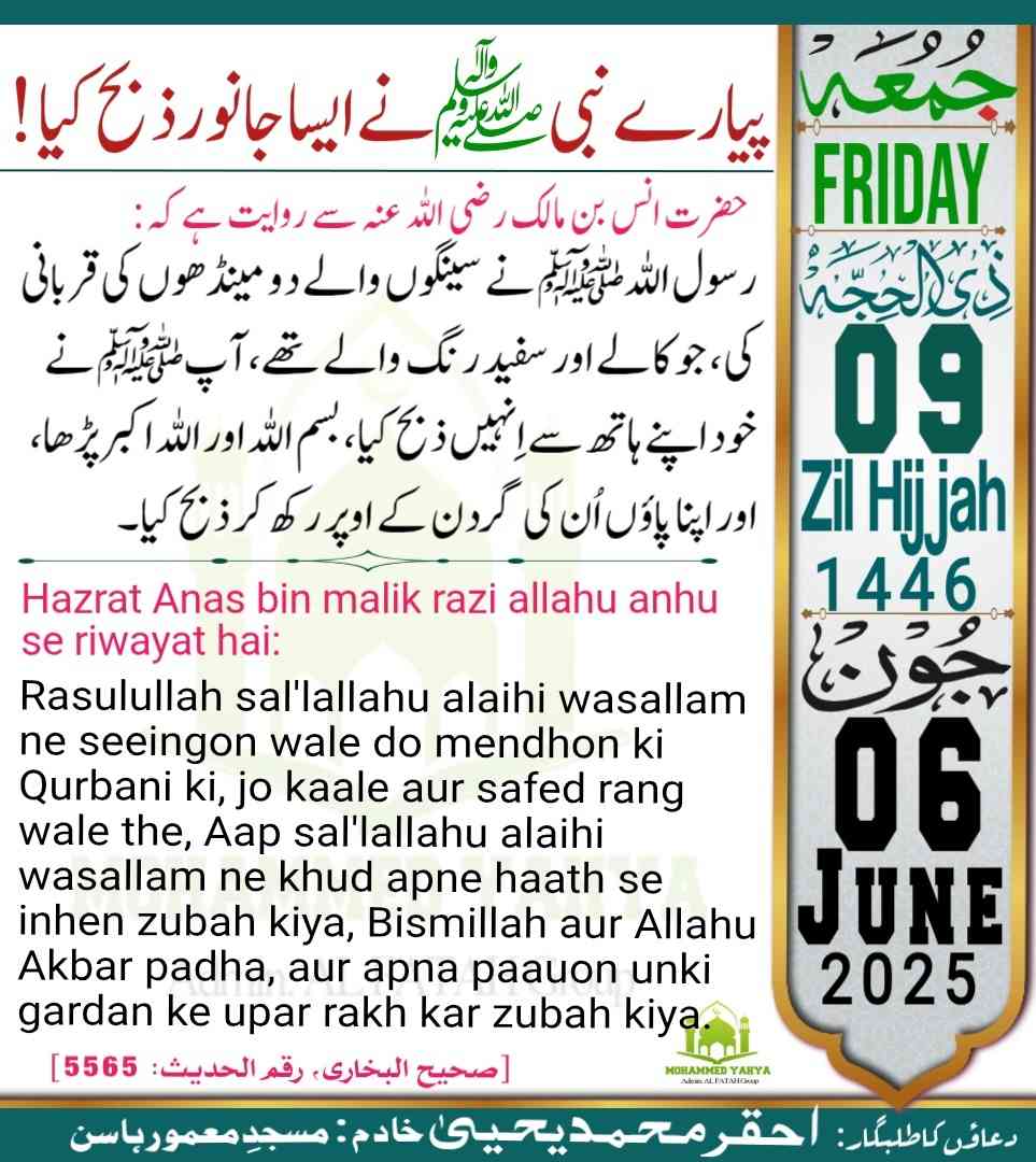 Islamic Tube Pro App
