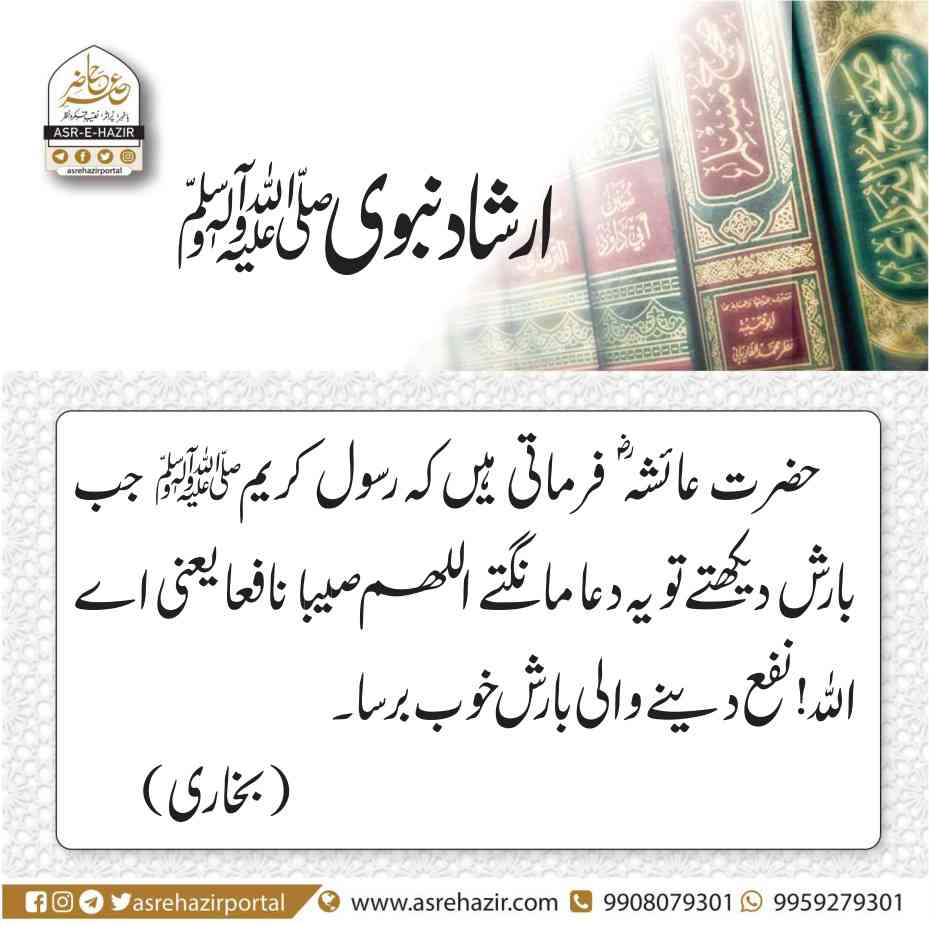 Islamic Tube Pro App