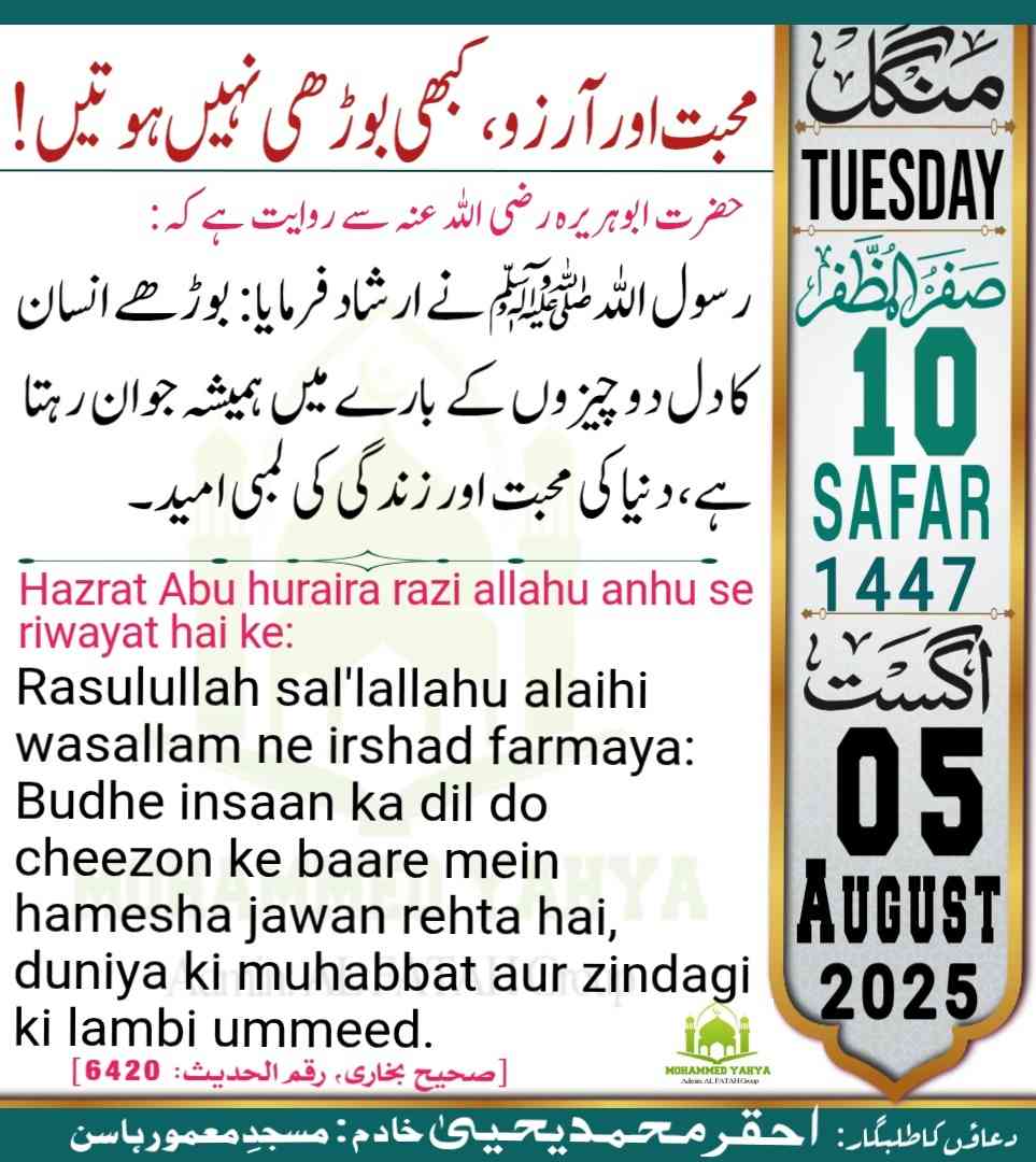 Islamic Tube Pro App