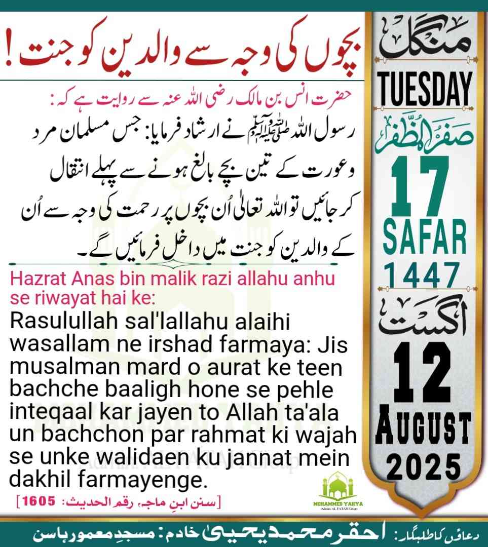 Islamic Tube Pro App