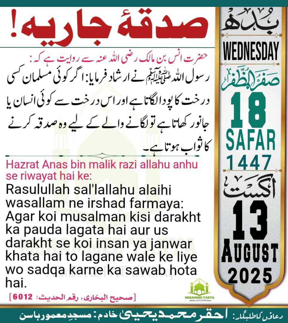 Islamic Tube Pro App