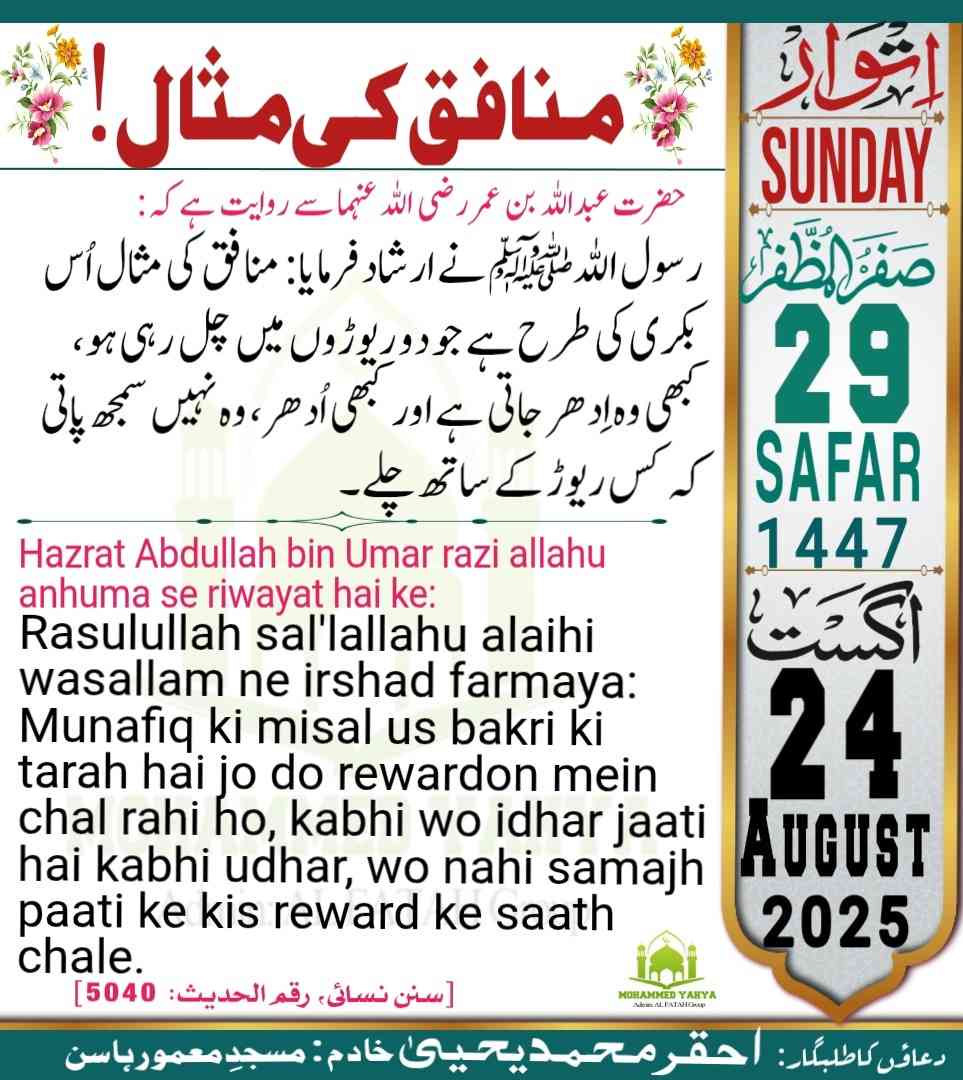 Islamic Tube Pro App