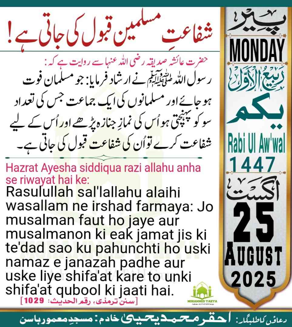 Islamic Tube Pro App