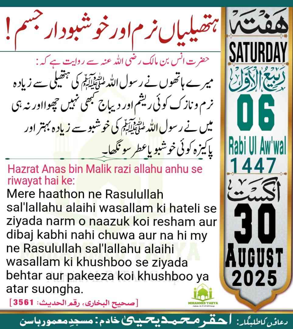 Islamic Tube Pro App