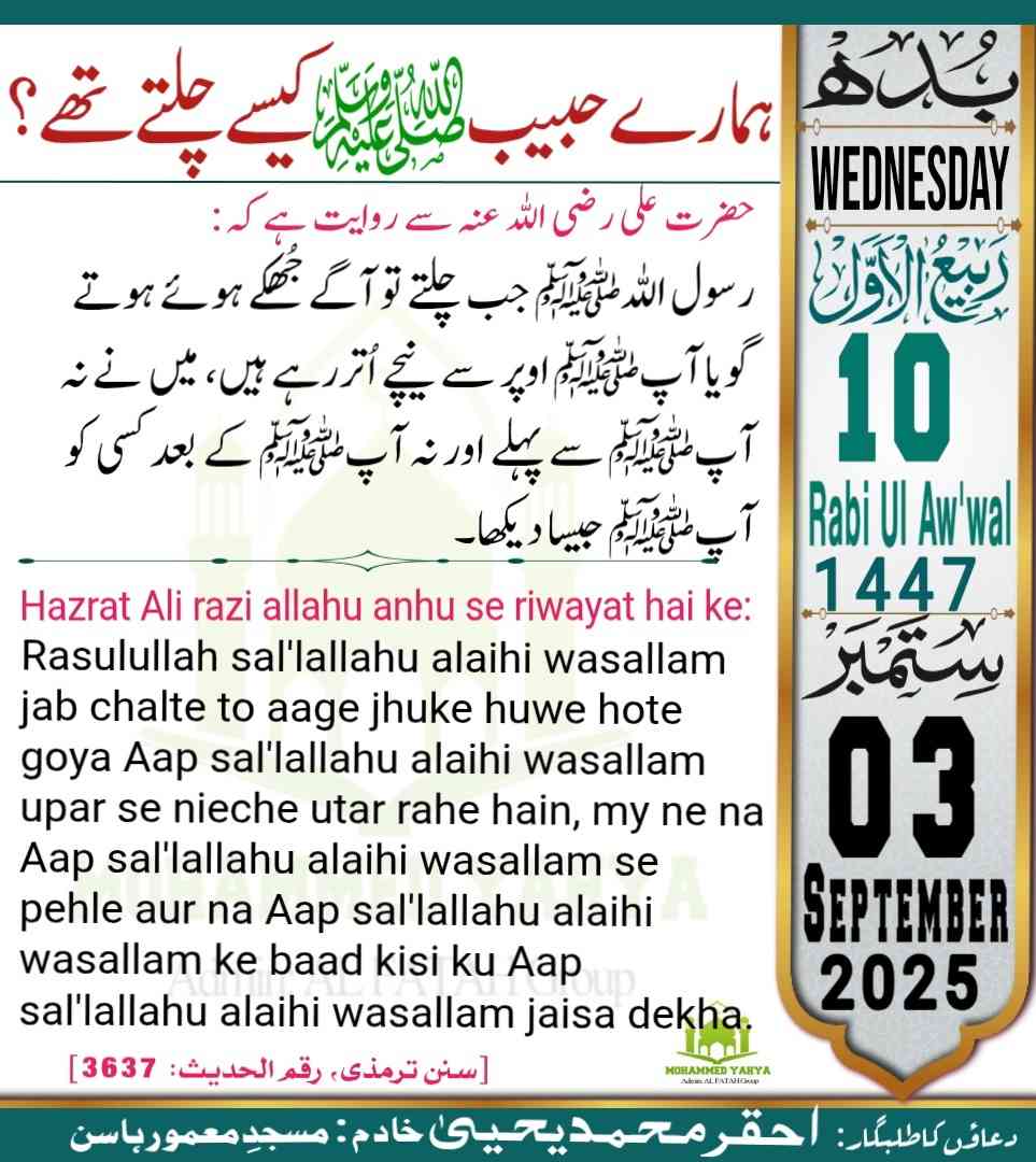 Islamic Tube Pro App