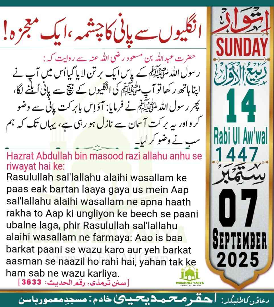 Islamic Tube Pro App