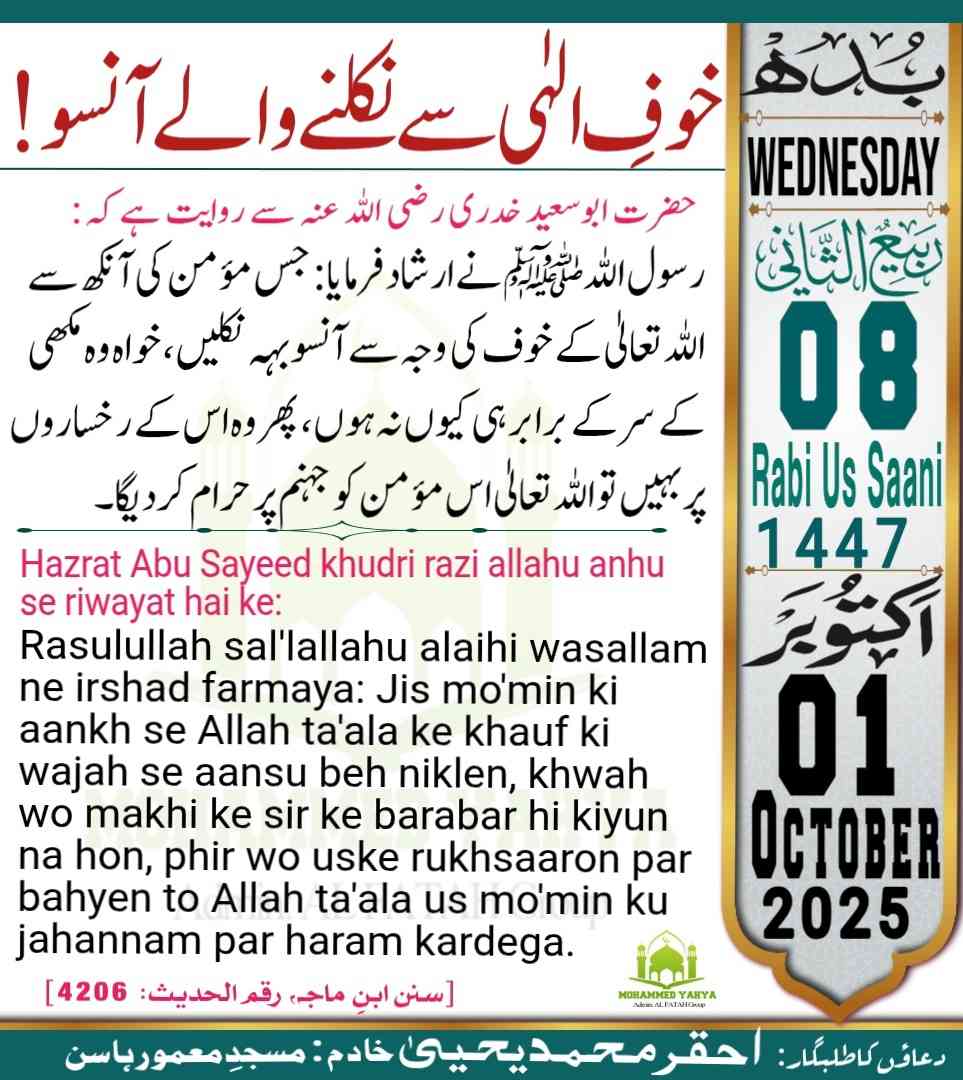 Islamic Tube Pro App